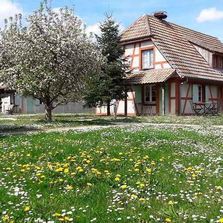 Les Loges De L'Ecomusee D'Alsace Ungersheim Eksteriør billede