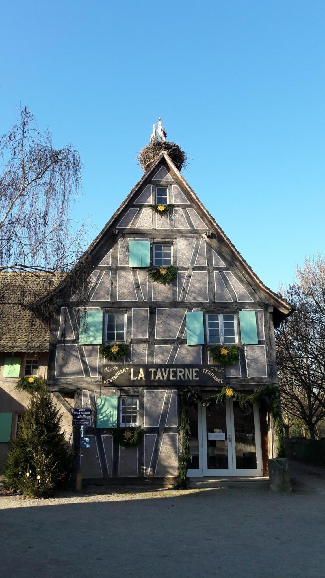 Les Loges De L'Ecomusee D'Alsace Ungersheim Eksteriør billede
