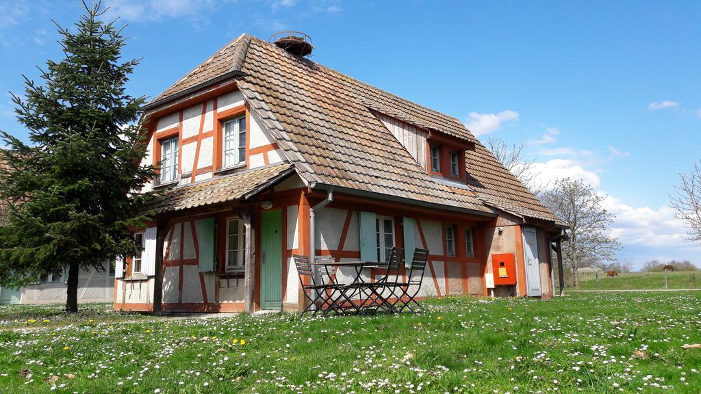 Les Loges De L'Ecomusee D'Alsace Ungersheim Eksteriør billede