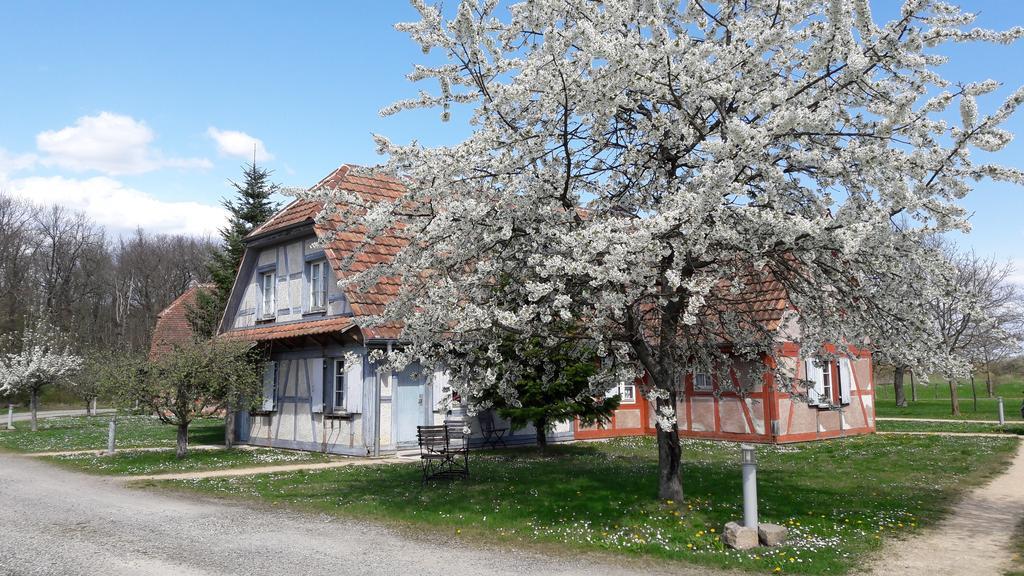 Les Loges De L'Ecomusee D'Alsace Ungersheim Eksteriør billede