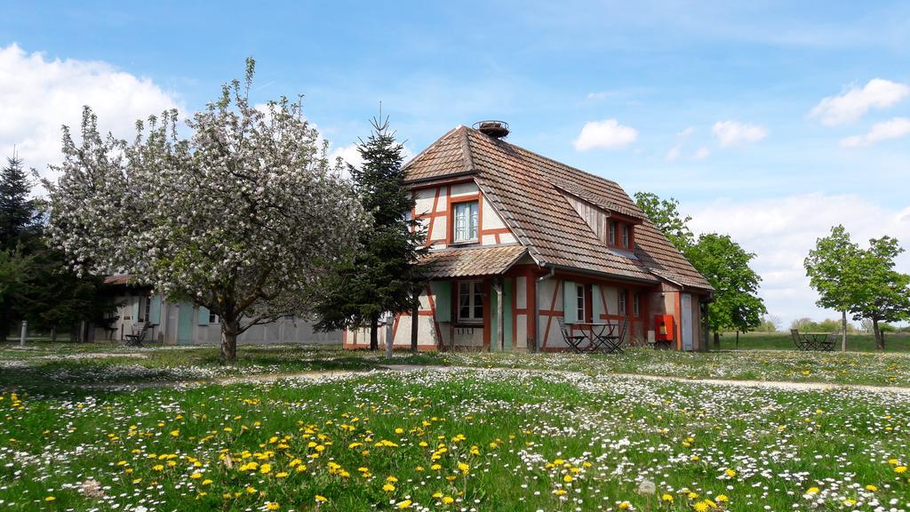 Les Loges De L'Ecomusee D'Alsace Ungersheim Eksteriør billede